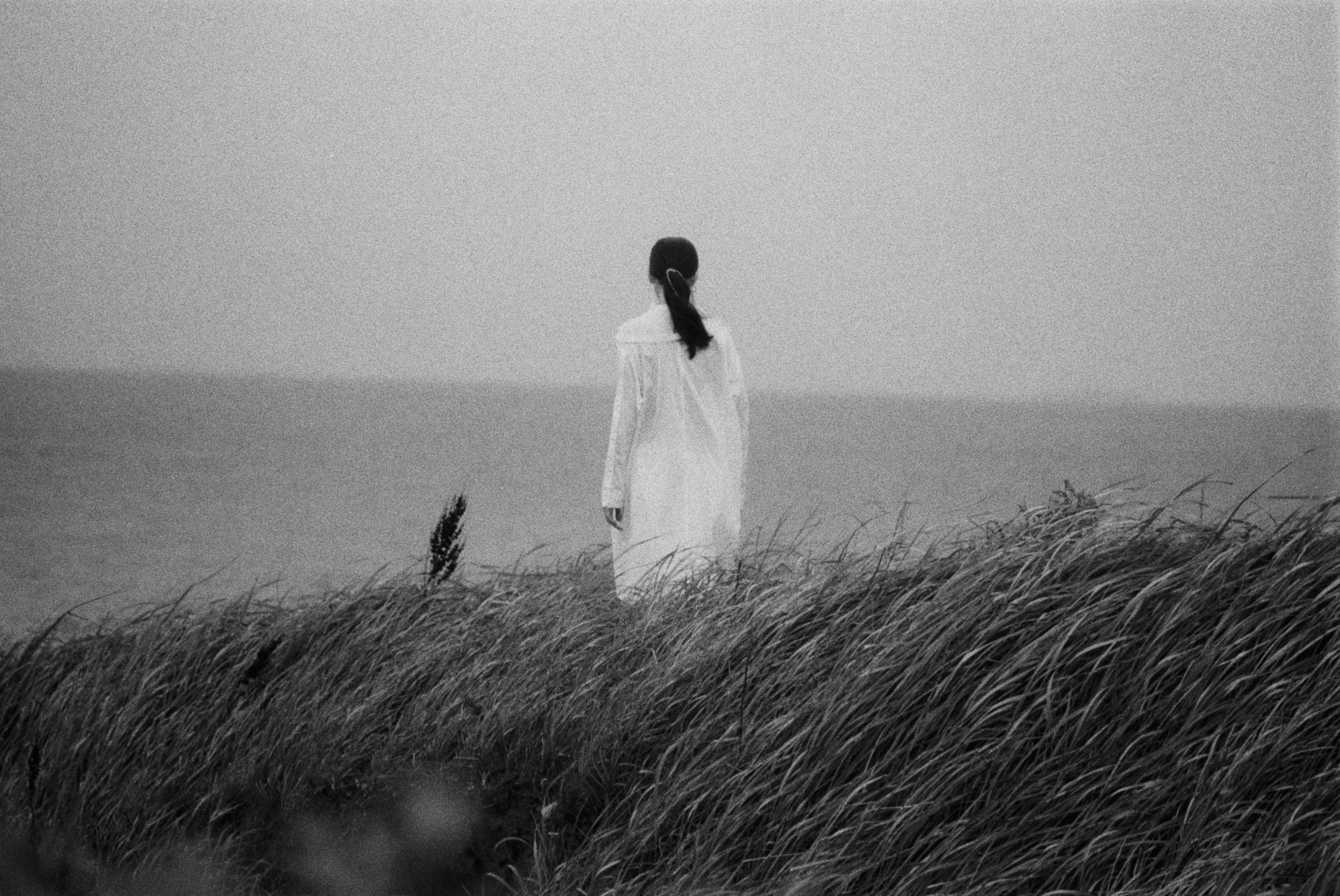 2025 Limited edition “Synonym “